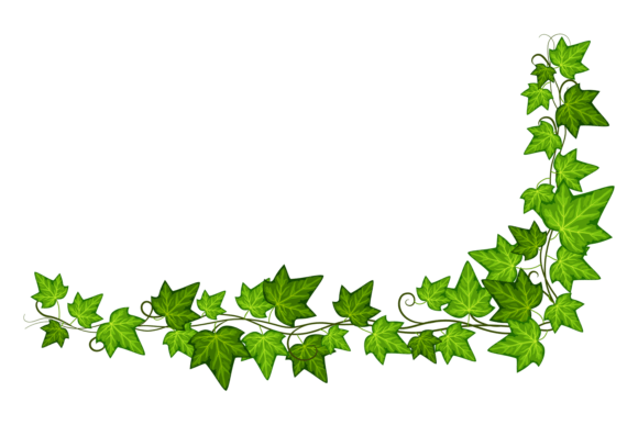 Ivy Vine Corner: Green Branch with Leave – A Versatile Botanical Design Element