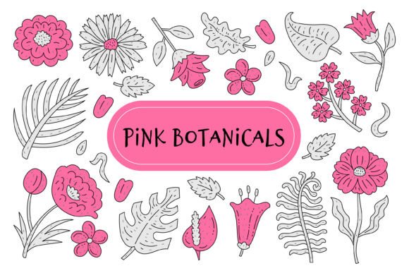 Pink Botanicals Illustrations: A Versatile Design Collection