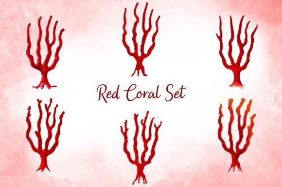 Red Coral Set: A Versatile Graphic for Marine-Inspired Designs