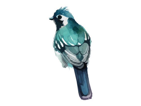 Watercolor Bird and Sparrow Painting: A Versatile Design for Creative Projects