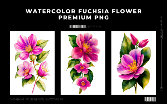 Watercolor Fuchsia Flower Premium PNG: Strategic Use in Design and Branding