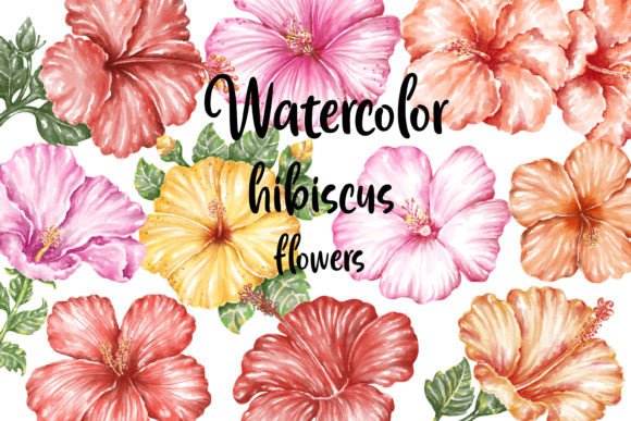Watercolor Hibiscus Flowers: Creative Uses and Design Possibilities