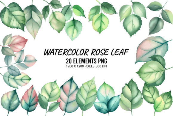 Watercolor Rose Leaf Clipart PNG: A Versatile Design Element for Creative Projects