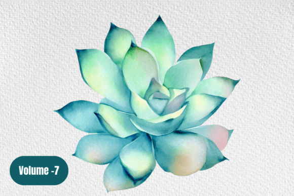 Watercolor Succulent Clipart Volume –7: A Creative Resource for Designers